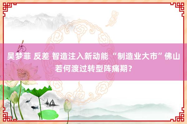 吴梦菲 反差 智造注入新动能 “制造业大市”佛山若何渡过转型阵痛期？