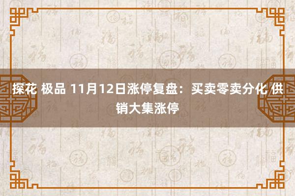 探花 极品 11月12日涨停复盘:买卖零卖分化 供销大集涨停