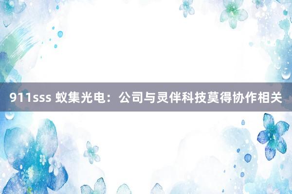 911sss 蚁集光电：公司与灵伴科技莫得协作相关